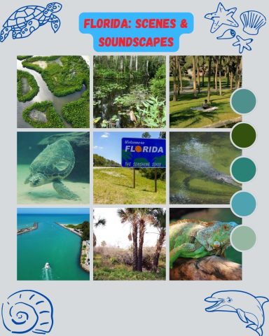 Nature & Wildlife — Florida Mood Board Florida nature and wildlife mood board — sea turtle, palm-lined roads, and lush greenery inspiring Soledad Music Official's coastal country